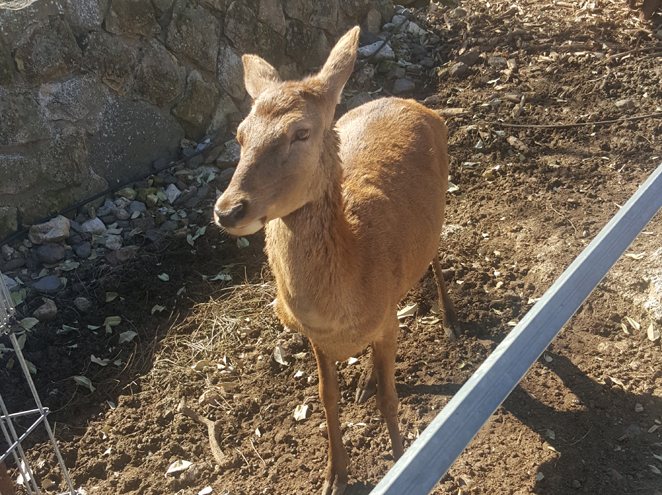 מועדון חברים קופונופש מציג: יום כיף מהסרטים!