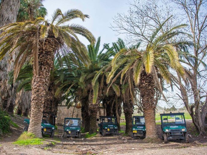 אקסטרים בעמק, טיולי שטח למשפחות וקבוצות בעמק יזרעאל