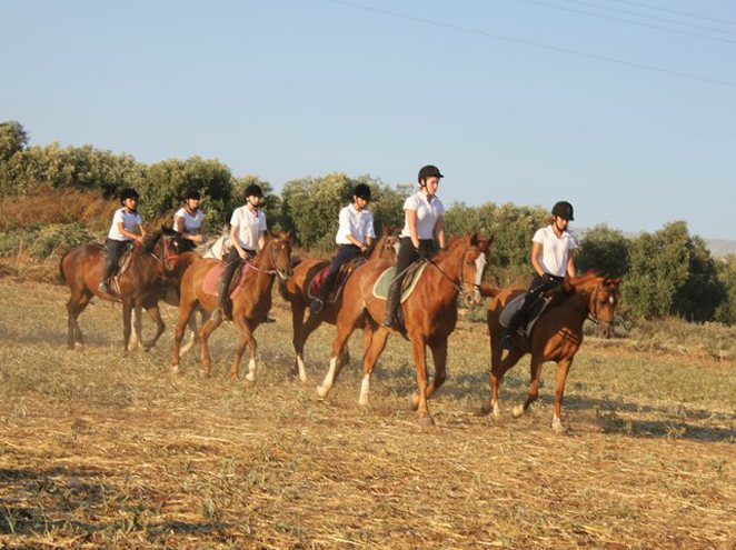 רנצ'ו מניס –מתחם רכיבה ותיק וחווייתי במושב ציפורי