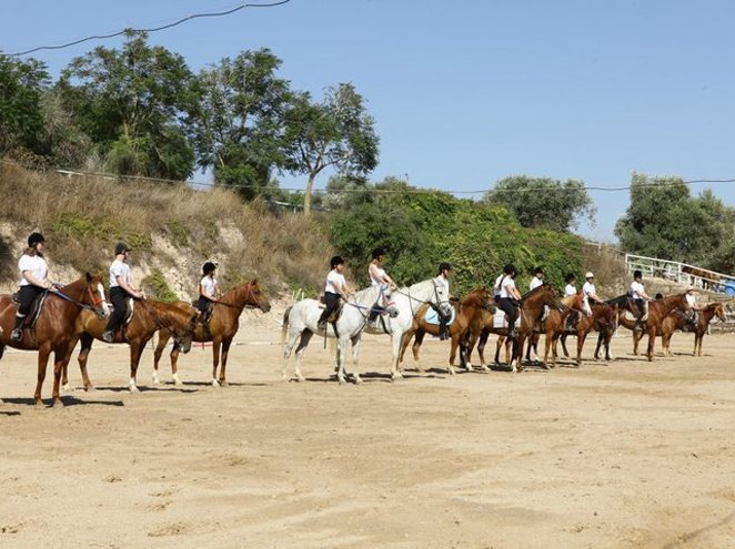 רנצ'ו מניס –מתחם רכיבה ותיק וחווייתי במושב ציפורי