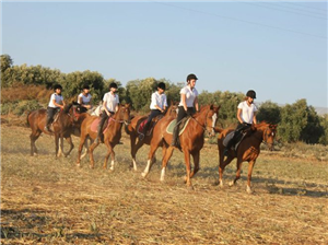 רנצ'ו מניס –מתחם רכיבה ותיק וחווייתי במושב ציפורי