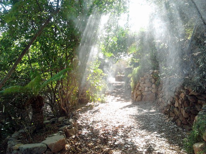 אטרקציות בחג החנוכה 2018