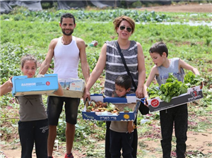 קטיף עצמי – חוויית טעמים בטבע