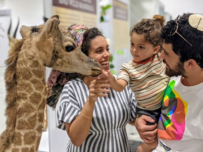 ירושלים של זהב, ושל נחושת ושל פאן (-: