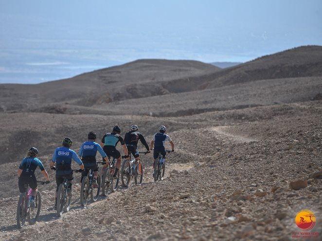 סקירת האטרקציות שהכי אהבנו באילת