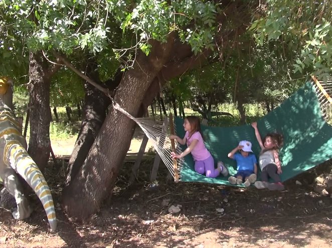 פארק היורה חץ וקשת מקצועי לכל הגילאים