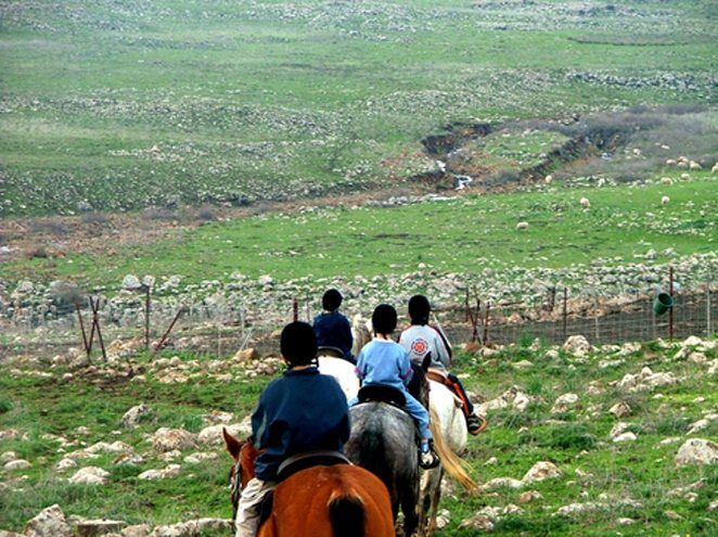 נקודת חן – טיולי סוסים ברמת הגולן