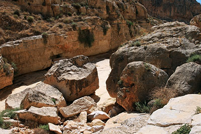 טיול לעין פרת - טיול במדבר בעקבות אליהו הנביא