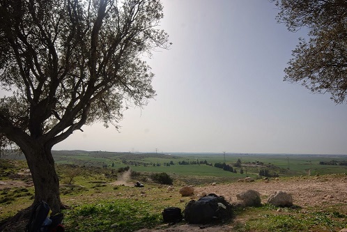 תל צפית - לטייל בעיר הולדתו של גוליית הפלישתי