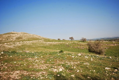 תל צפית - לטייל בעיר הולדתו של גוליית הפלישתי