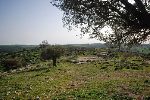 תל צפית - לטייל בעיר הולדתו של גוליית הפלישתי