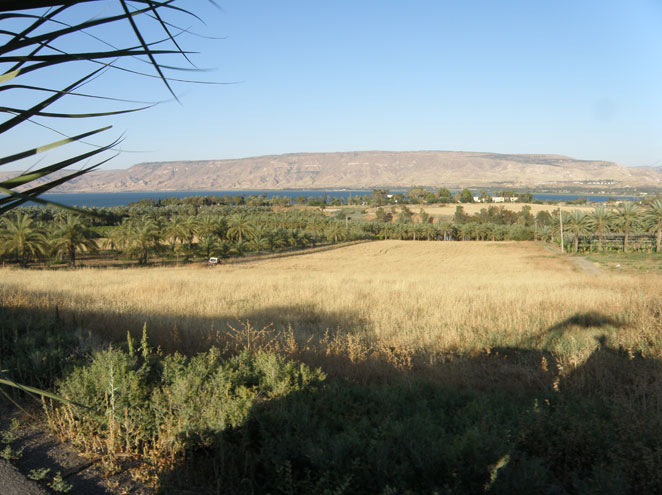 טיול מיער שווייץ למושבה כנרת