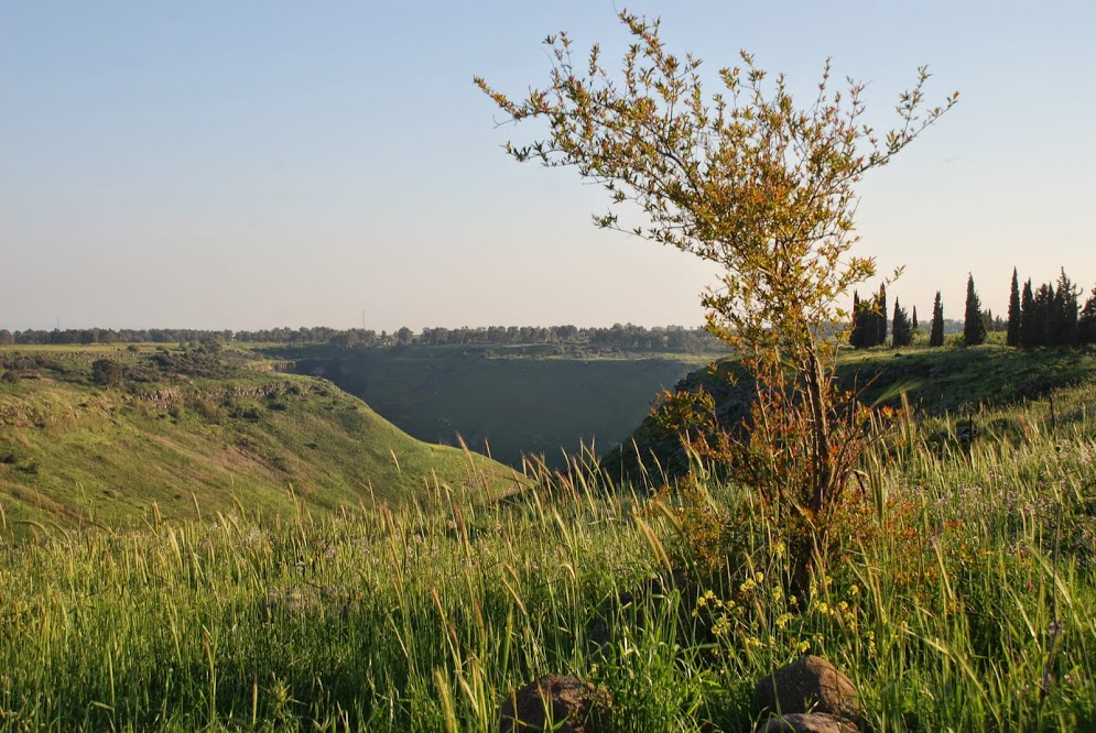 המפל הלבן בנחל אל על - אל הבריכה היפה בגולן