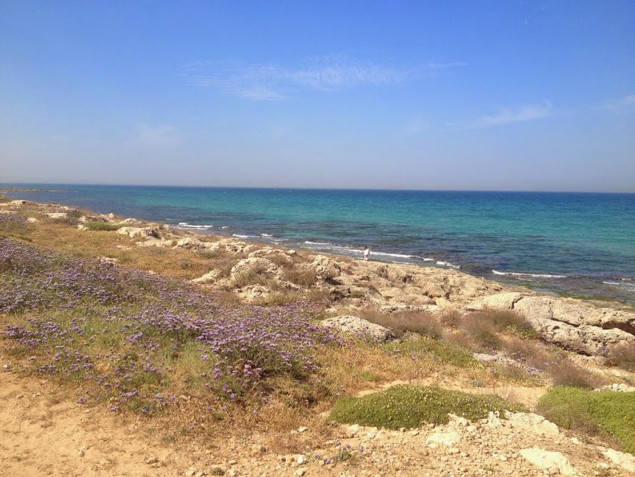 חוף אכזיב - לטייל בחוף היפה בישראל