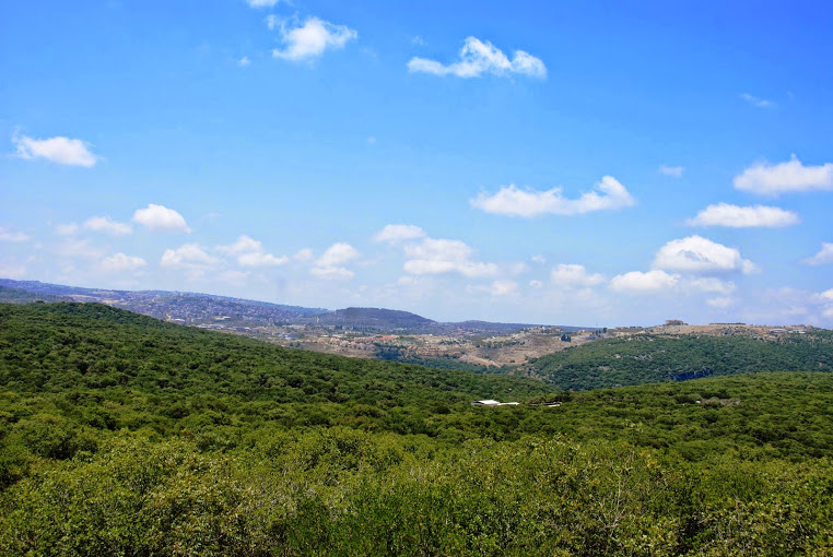 מצד אבירים - תצפית, חורש טבעי, היסטוריה