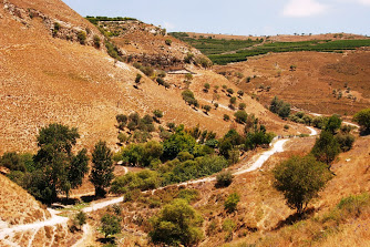 עין עלווה - מעיין בגליל העליון ליד כרם בן זמרה