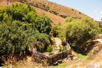 עין עלווה - מעיין בגליל העליון ליד כרם בן זמרה