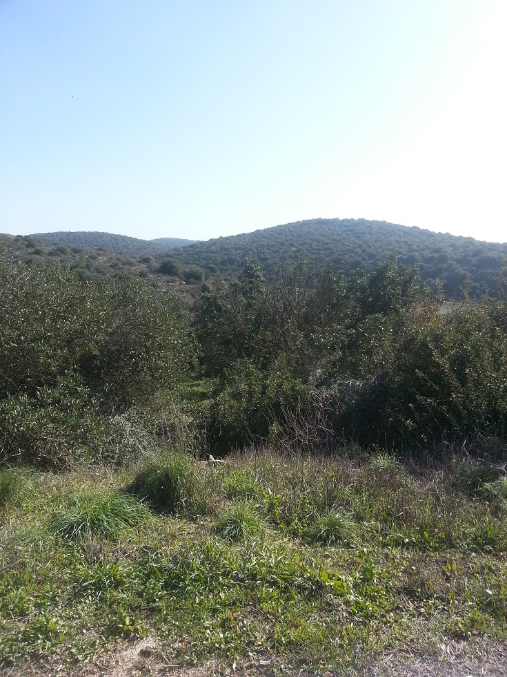 פארק עדולם - יערות אורנים ויישובים עתיקים